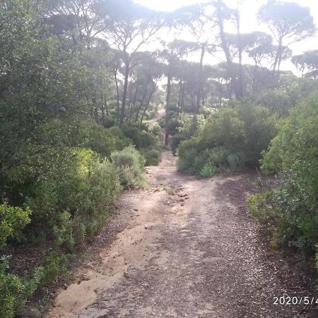 Casa Rural Los Pinos Hinojos Eksteriør bilde