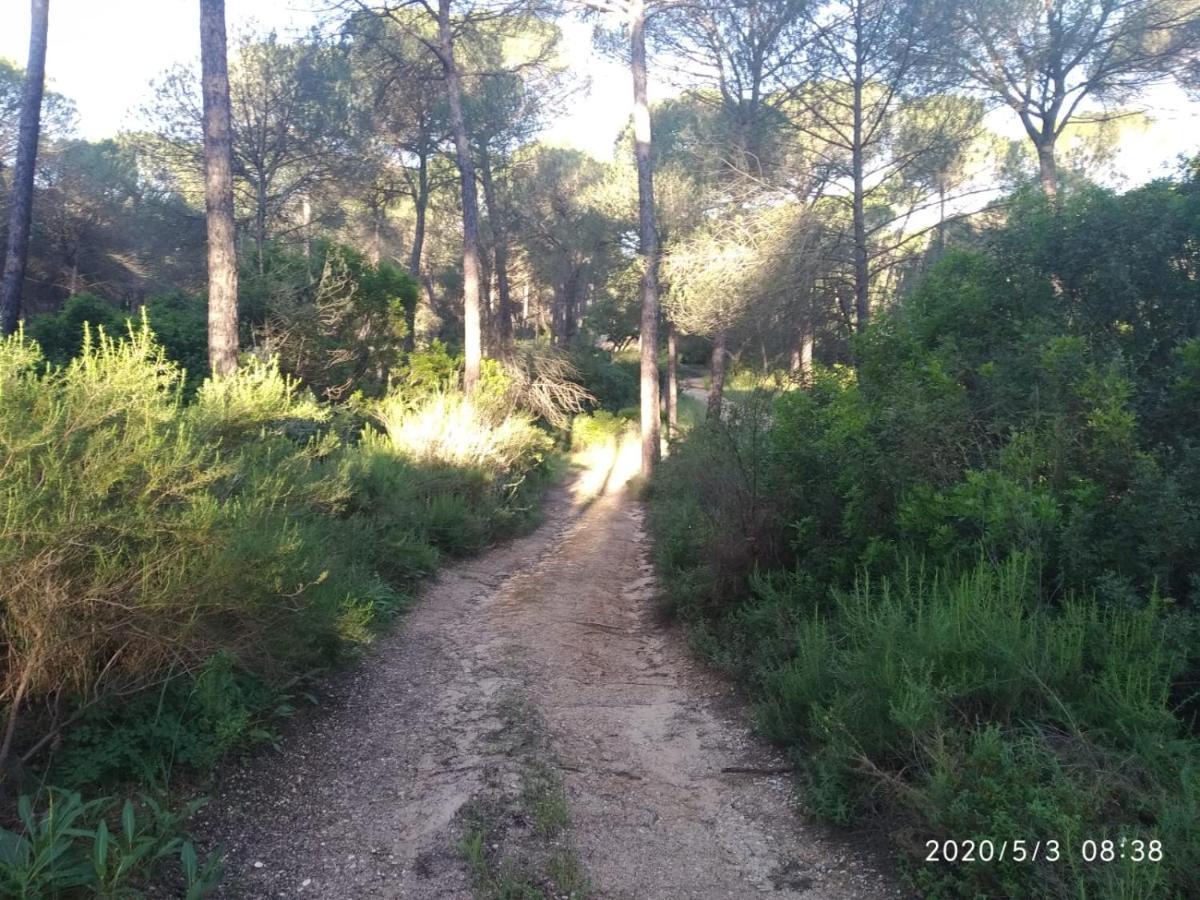 Casa Rural Los Pinos Hinojos Eksteriør bilde