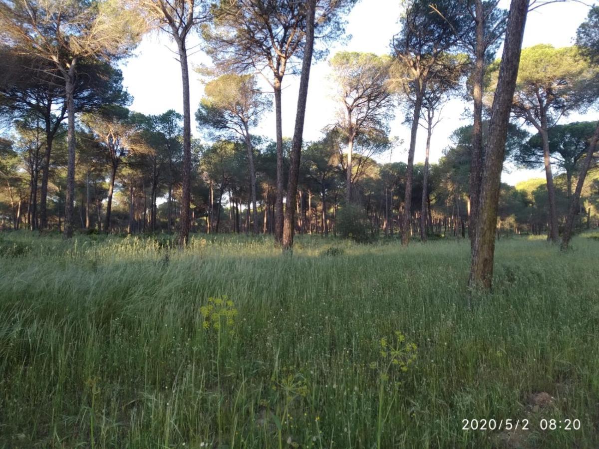 Casa Rural Los Pinos Hinojos Eksteriør bilde