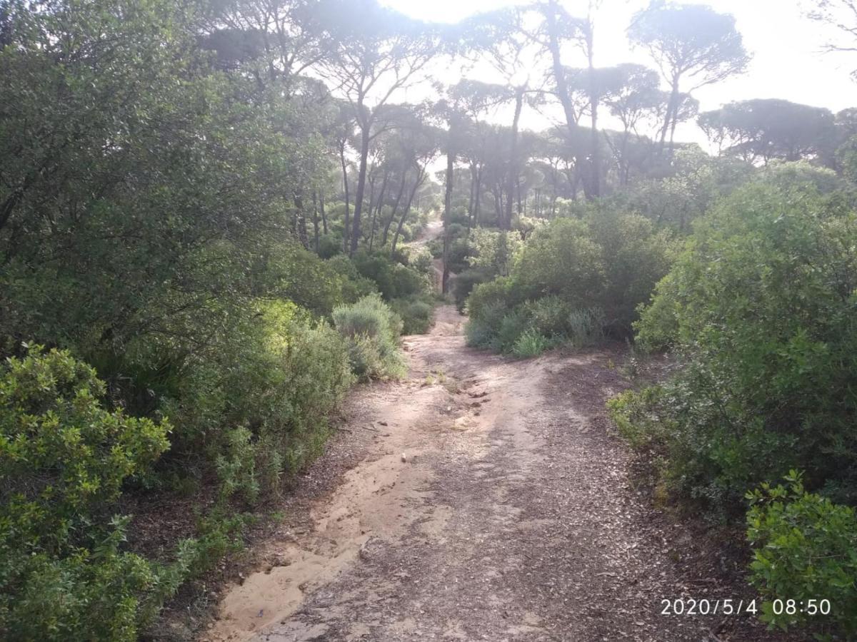 Casa Rural Los Pinos Hinojos Eksteriør bilde